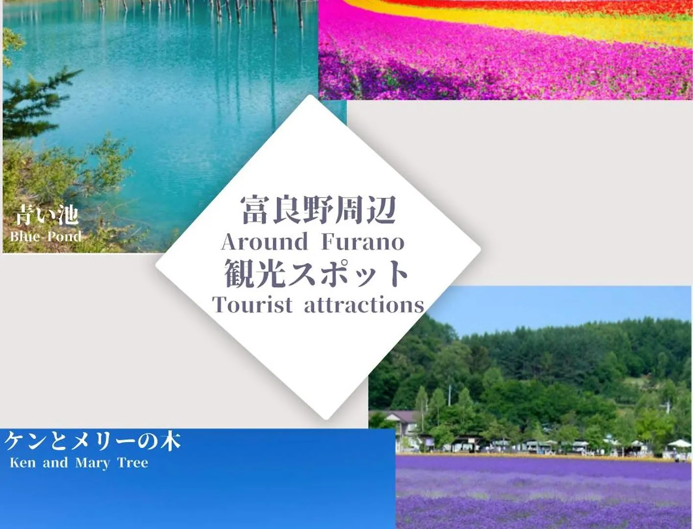 Lavender Breeze Furano 2 Lejlighed 0*,